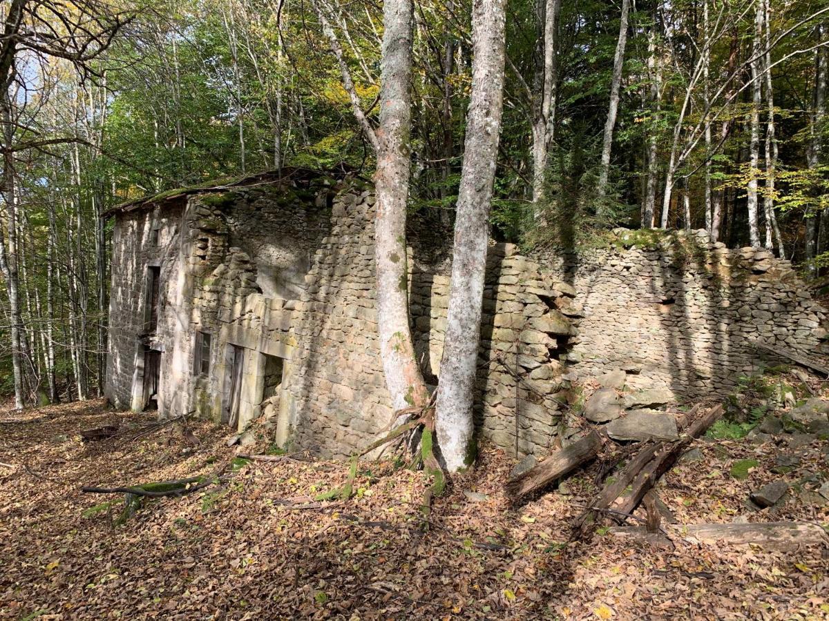 Gite " Oree Des Bois" Vertolaye Экстерьер фото