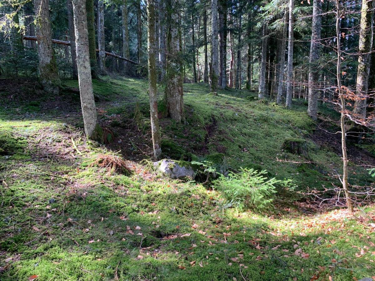 Gite " Oree Des Bois" Vertolaye Экстерьер фото