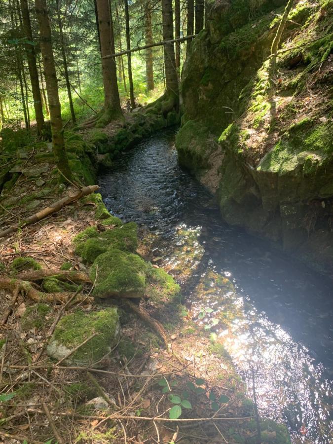 Gite " Oree Des Bois" Vertolaye Экстерьер фото