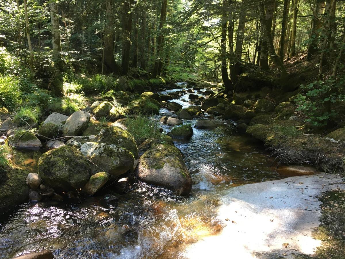 Gite " Oree Des Bois" Vertolaye Экстерьер фото