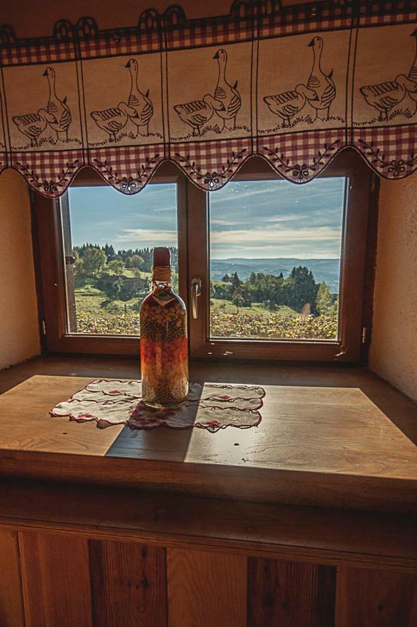 Gite " Oree Des Bois" Vertolaye Экстерьер фото